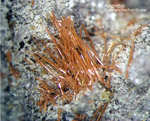 Eifel Mineralien Nickenicher Sattel Amphibol