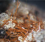 Eifel Mineralien Nickenicher Sattel Amphibol