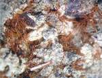 Eifel Mineralien Nickenicher Sattel Amphibol