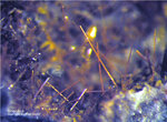 Eifel Mineralien Nickenicher Sattel Amphibol
