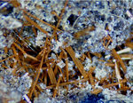 Eifel Mineralien Nickenicher Sattel Amphibol