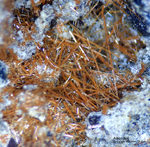 Eifel Mineralien Nickenicher Sattel Amphibol