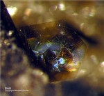 Eifel Mineralien Nickenicher Sattel Biotit