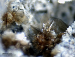 Eifel Mineralien Nickenicher Sattel Biotit