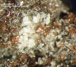 Eifel Mineralien Nickenicher Sattel Cordierit