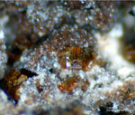 Eifel Mineralien Nickenicher Sattel Cordierit