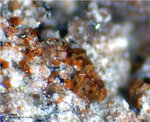 Eifel Mineralien Nickenicher Sattel Cordierit