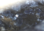 Eifel Mineralien Nickenicher Sattel Cordierit