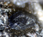 Eifel Mineralien Nickenicher Sattel Cordierit
