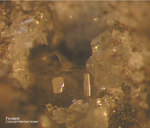 Eifel Mineralien Nickenicher Sattel Forsterit