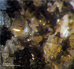 Eifel Mineralien Nickenicher Sattel Forsterit