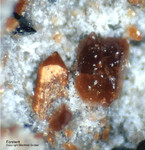 Eifel Mineralien Nickenicher Sattel Forsterit
