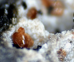 Eifel Mineralien Nickenicher Sattel Forsterit