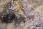 Eifel Mineralien Nickenicher Sattel Haematit