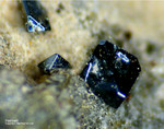 Eifel Mineralien Nickenicher Sattel Haematit