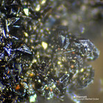 Eifel Mineralien Nickenicher Sattel Haematit