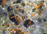 Eifel Mineralien Nickenicher Sattel Kaersutit