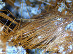 Eifel Mineralien Nickenicher Sattel Kaersutit