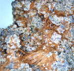 Eifel Mineralien Nickenicher Sattel Kaersutit
