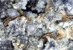 Eifel Mineralien Nickenicher Sattel Muskovit