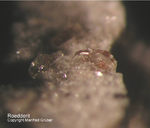 Eifel Mineralien Nickenicher Sattel Roedderit