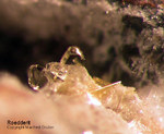 Eifel Mineralien Nickenicher Sattel Roedderit