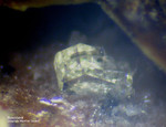 Eifel Mineralien Nickenicher Sattel Roedderit