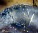 Eifel Mineralien Nickenicher Sattel Roedderit