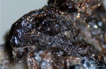Eifel Mineralien Nickenicher Sattel Roedderit