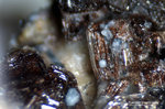 Eifel Mineralien Nickenicher Sattel Roedderit