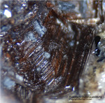 Eifel Mineralien Nickenicher Sattel Roedderit