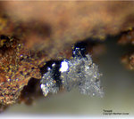 Eifel Mineralien Nickenicher Sattel Tenorit