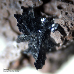 Eifel Mineralien Nickenicher Sattel Tenorit