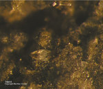 Eifel Mineralien Nickenicher Sattel Titanit
