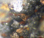 Eifel Mineralien Nickenicher Sattel Titanit