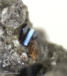 Eifel Mineralien Nickenicher Sattel Titanit
