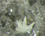 Eifel Mineralien Rothenberg Calcit