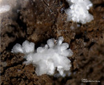 Eifel Mineralien Rothenberg Calcit