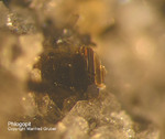 Eifel Mineralien Rothenberg Phlogopit