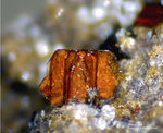 Eifel Mineralien Rothenberg Phlogopit