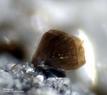 Eifel Mineralien Rothenberg Phlogopit