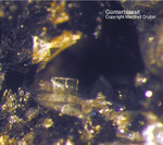 Mineralien Eifel Rother Kopf Guenterblassit