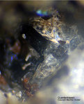 Mineralien Eifel Rother Kopf Guenterblassit