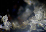 Mineralien Eifel Rother Kopf Guenterblassit