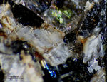 Mineralien Eifel Rother Kopf Guenterblassit