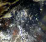 Mineralien Eifel Rother Kopf Guenterblassit