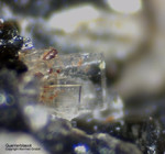 Mineralien Eifel Rother Kopf Guenterblassit
