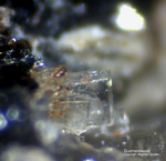 Mineralien Eifel Rother Kopf Guenterblassit