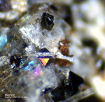 Eifel Mineralien Rother Kopf Magnetit