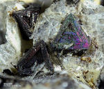 Eifel Mineralien Rother Kopf Magnetit
